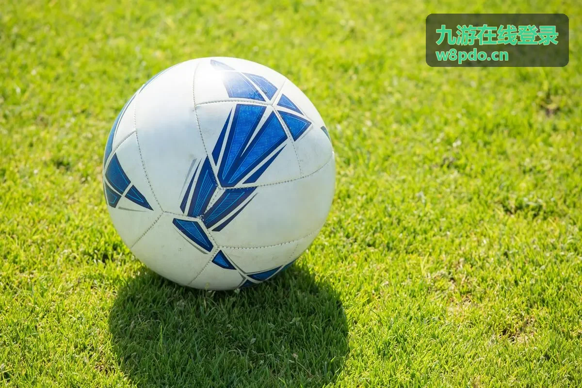 九游在线登录苹果客户端安装与信任设置示意