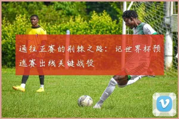 通往正赛的荆棘之路：记世界杯预选赛出线关键战役
