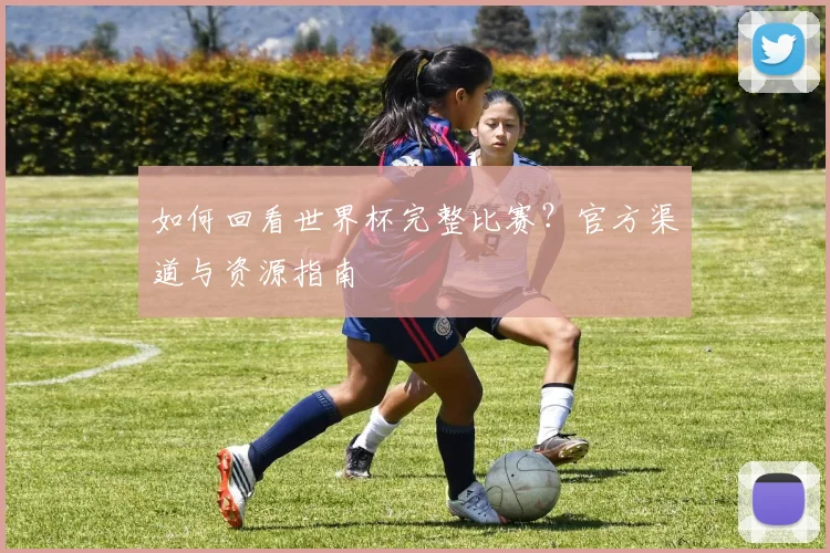 如何回看世界杯完整比赛？官方渠道与资源指南