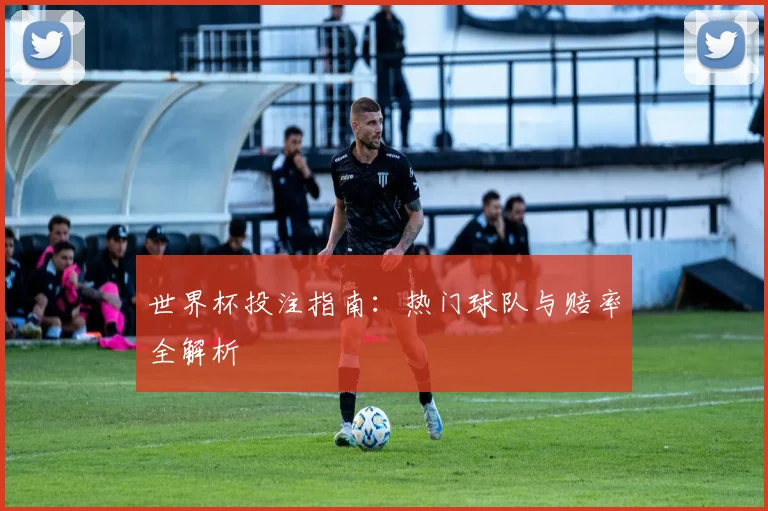 世界杯投注指南:热门球队与赔率全解析