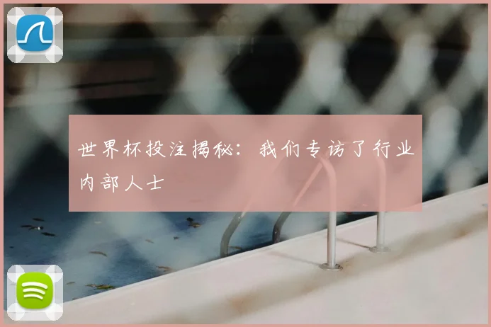世界杯投注揭秘:我们专访了行业内部人士