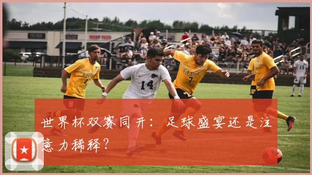 世界杯双赛同开:足球盛宴还是注意力稀释?