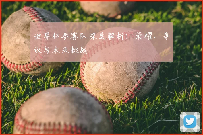 世界杯参赛队深度解析:荣耀、争议与未来挑战