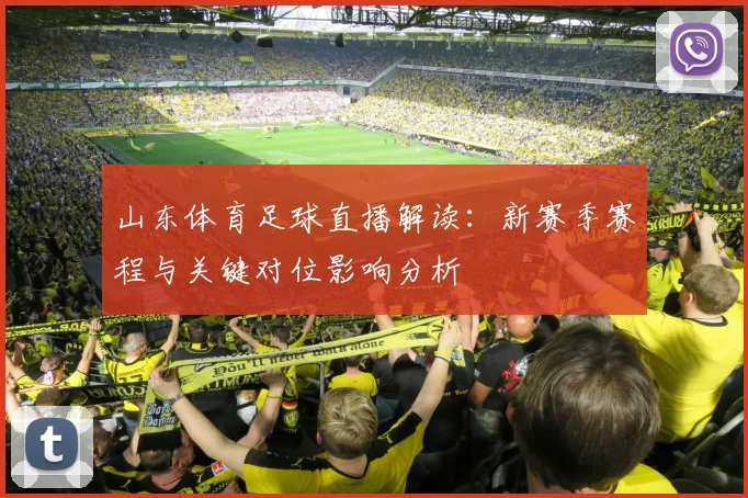 山东体育足球直播解读：新赛季赛程与关键对位影响分析