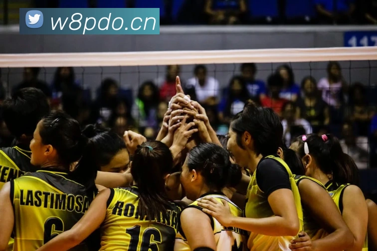 乐鱼官方体育网站平台生态图