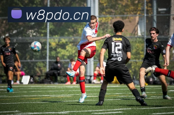 乐鱼官方体育网站APP 封面图